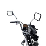 TriGlide Cruiser