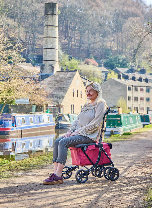 Orchid Stroller in use
